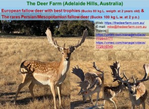 The Deer Farm Australia         